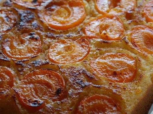 Blenheim Apricot & Olive Oil Cake