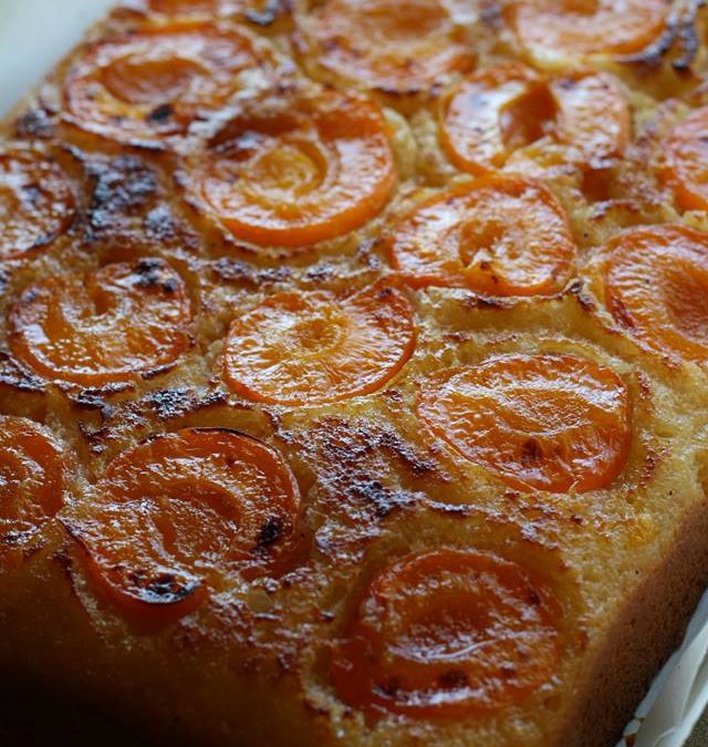 Blenheim Apricot & Olive Oil Cake